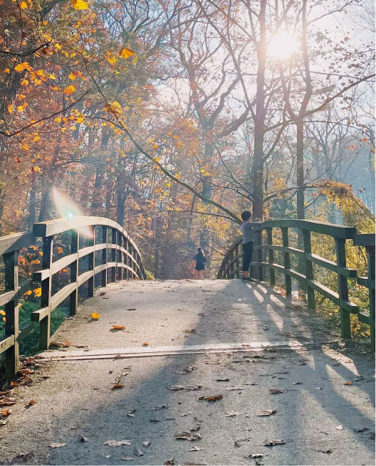 Bridge during the fall time